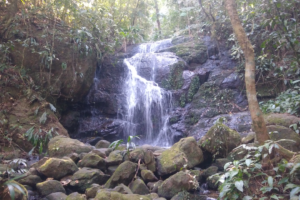 Trilha Cachoeira Escondida